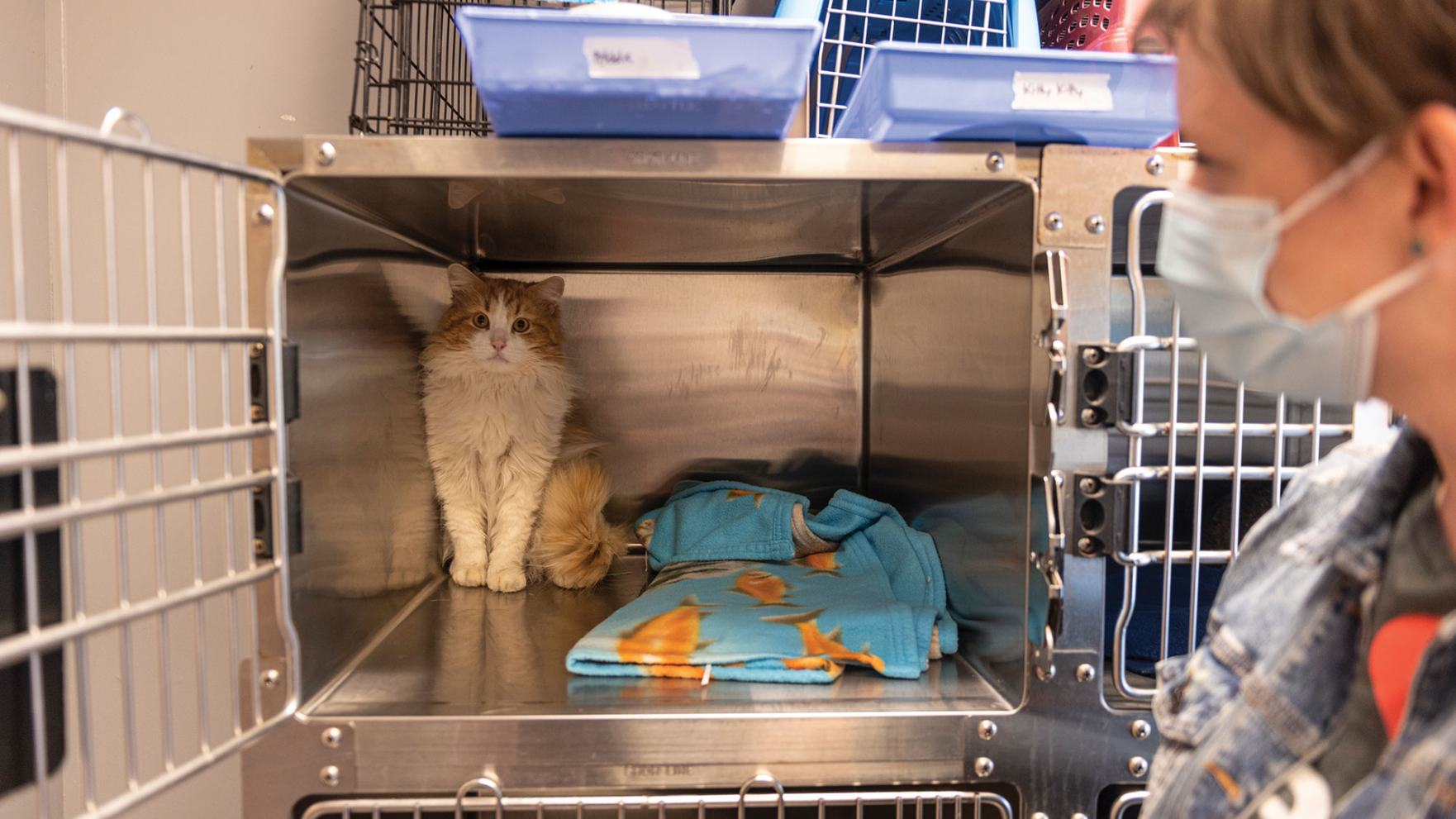 Pet Community Center